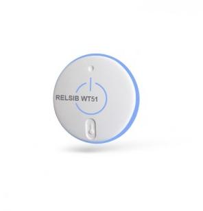 ���������� ����������� ����������� RELSIB WT51-S (� ��������� ������ �� Bluetooth 4,0)